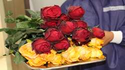 اهدا 400 شاخه گل رز به مدافعان سلامت